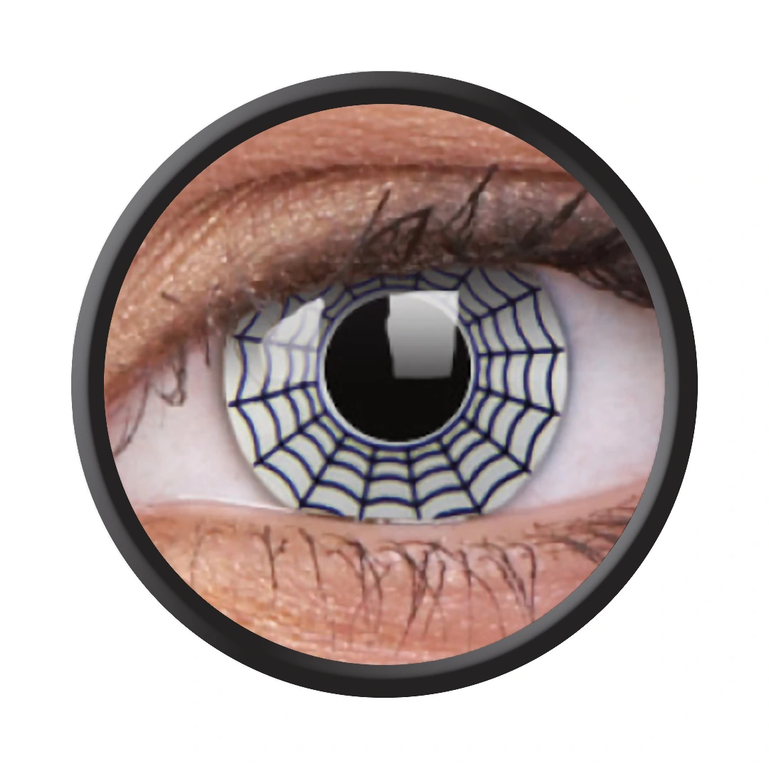 Spider (Jahreslinse) (1x2)